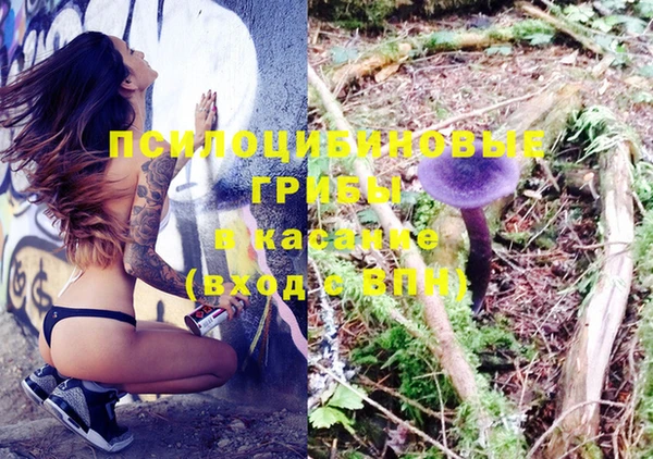 тгк Алексеевка