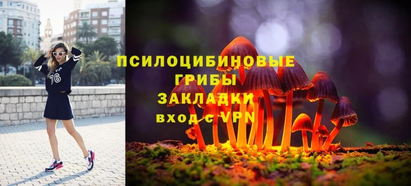 тгк Алексеевка